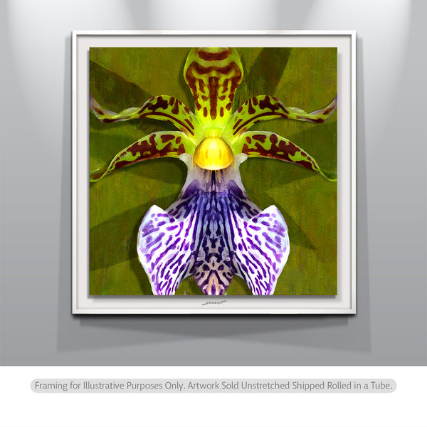 fine-art-orchids.jpg