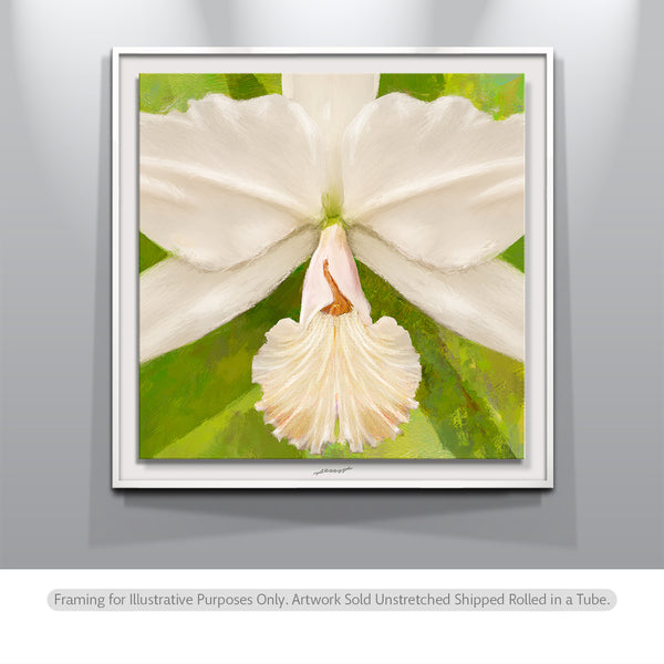 orchids-paintings.jpg