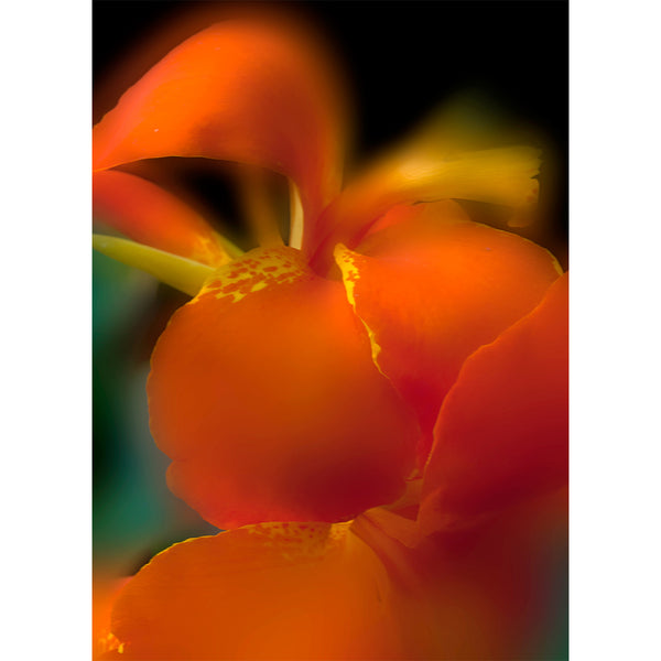 botanical-fine-art-print