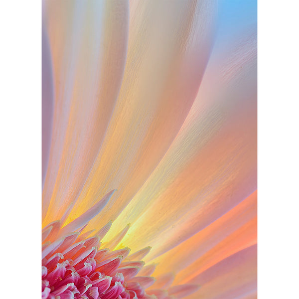 botanical-fine-art-photography