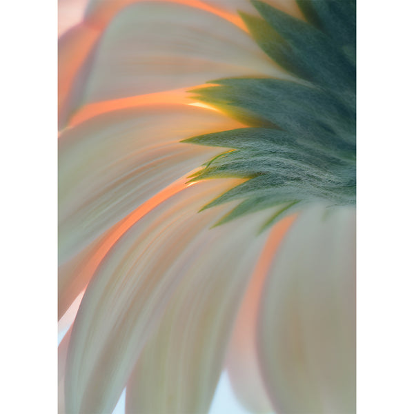 botanical-fine-art-print