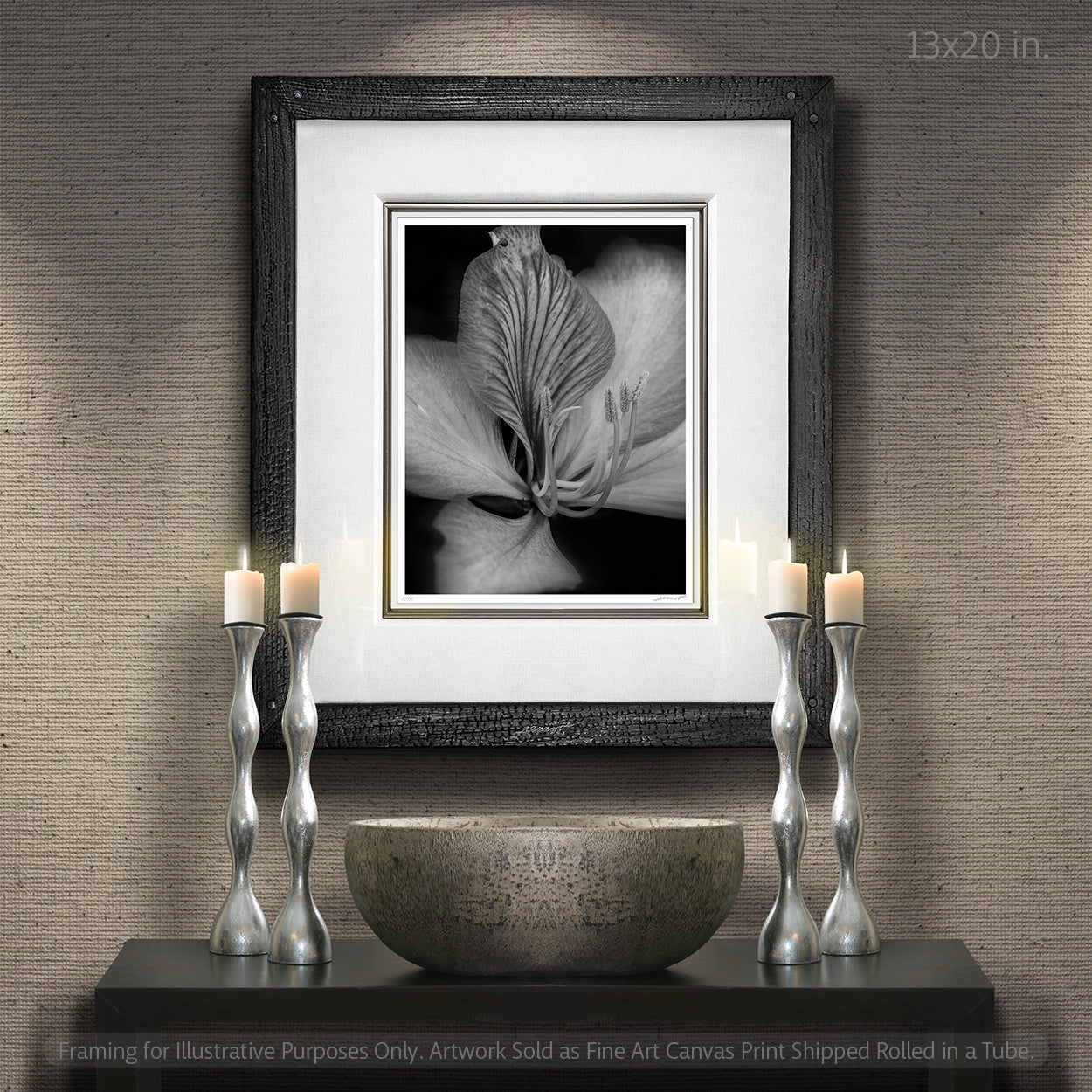 fine-art-photography-botanic-black-and-white