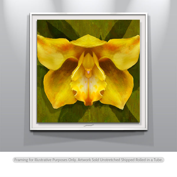 orchids-paintings.jpg